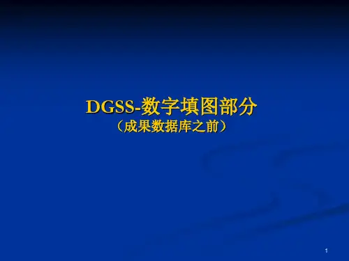 数字填图DGSS数字填图地质调查平台操作ppt课件