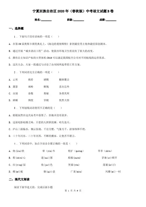 宁夏回族自治区2020年(春秋版)中考语文试题B卷