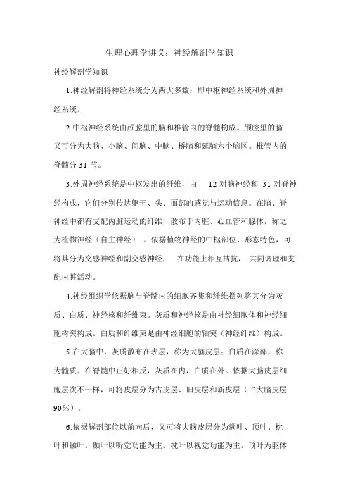 最新生理心理学讲义：神经解剖学知识