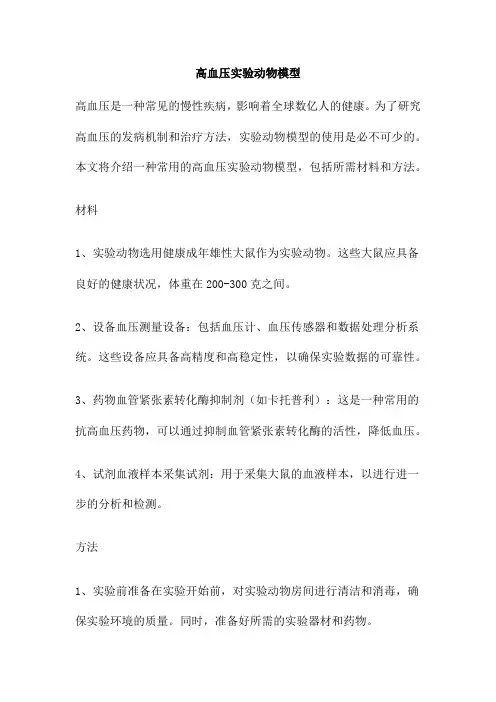 高血压实验动物模型