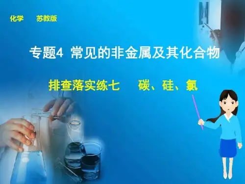 步步高高考化学大一轮复习(苏教版通用)配套课件：专题四  排查落实练七   碳、硅、氯