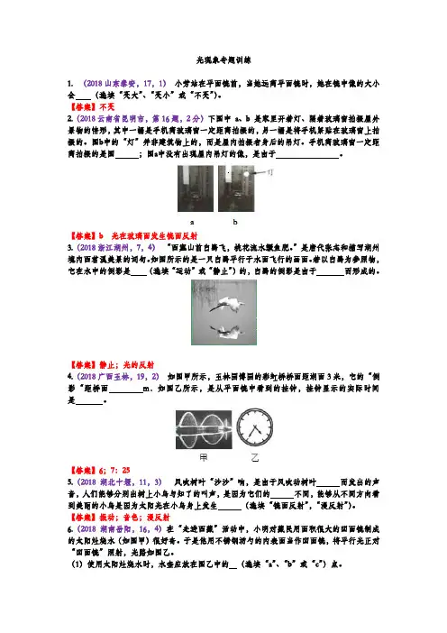 山东省新泰市新甫中学2019年人教版中考物理专题复习--光现象专题训练(答案版)