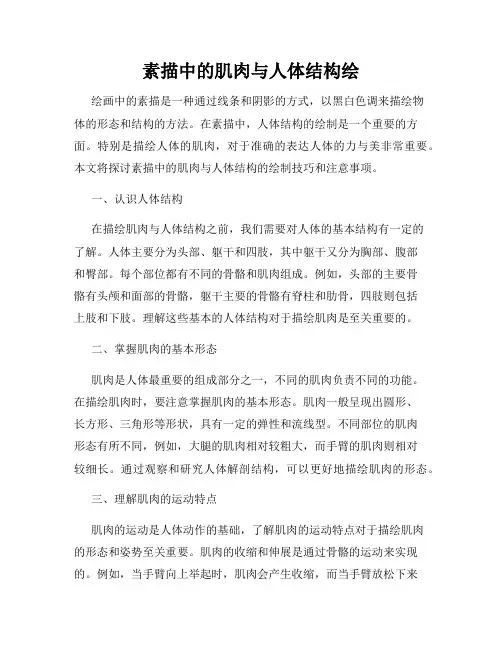 素描中的肌肉与人体结构绘