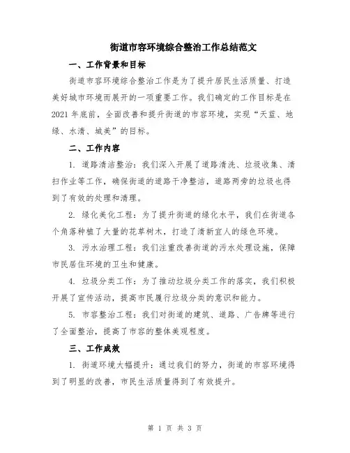 街道市容环境综合整治工作总结范文