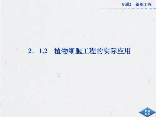 高中生物同步课件：2.1.2 植物细胞工程的实际应用(新人教版选修3)