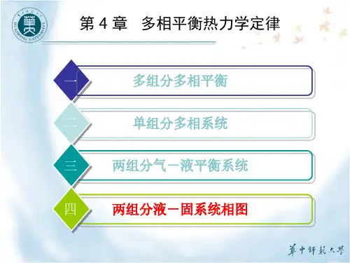 第4节 两组分固-液系统相图