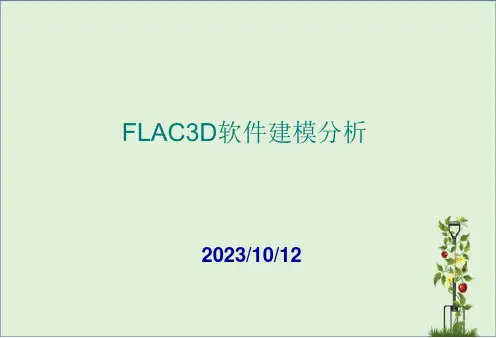 FLAC3D建模分析