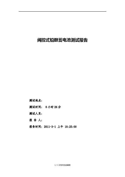 阀控式铅酸蓄电池测试报告