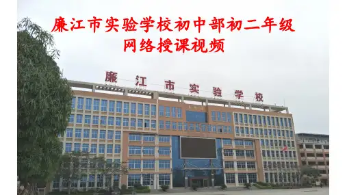 Unit4SectionB(2a-2e第一课时）2课件-广东省廉江市实验学校人教版八年级英语下册