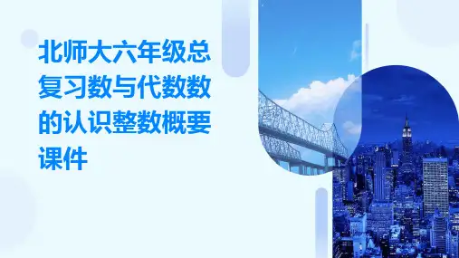 北师大六年级总复习数与代数数的认识整数概要课件