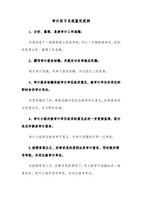 审计实习自我鉴定范例（3篇）