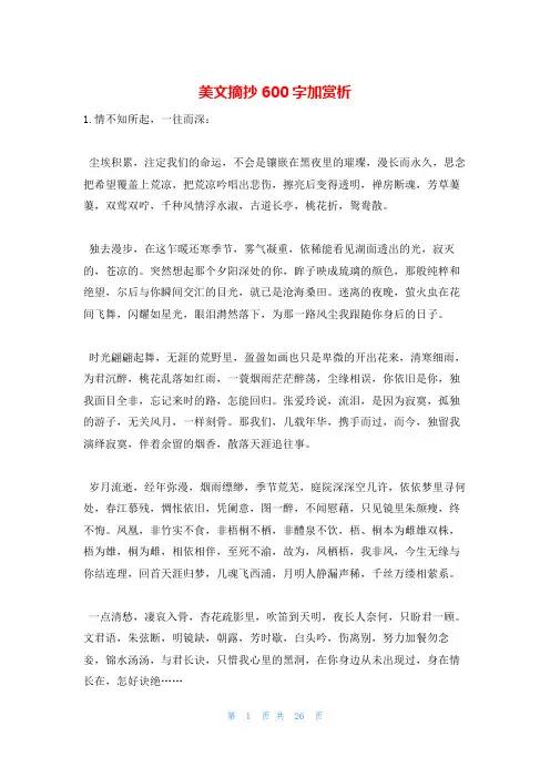 美文摘抄600字加赏析