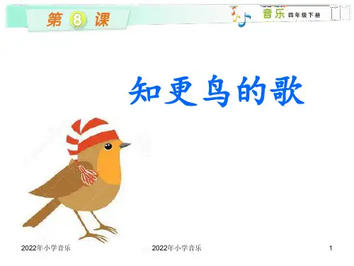 演唱知更鸟的歌PPT