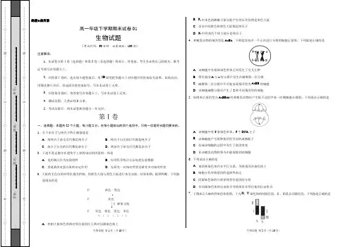 【人教版高中生物必修二】高一生物下学期期末试卷01(考试版)含答案【测试范围：人教必修2全册】