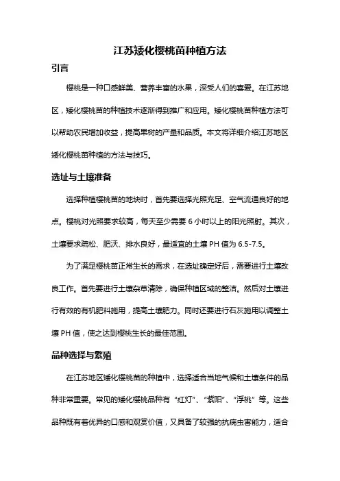 江苏矮化樱桃苗种植方法