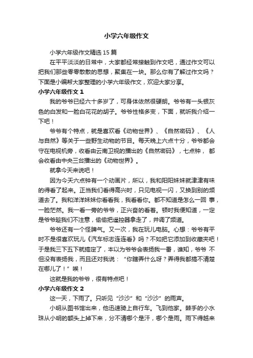 小学六年级作文