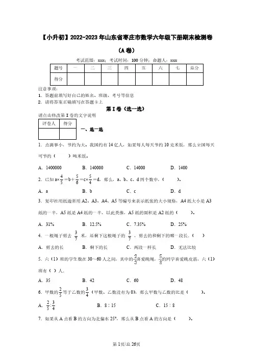 【小升初】2022-2023学年山东省枣庄市数学六年级下册期末检测卷(A卷)含解析