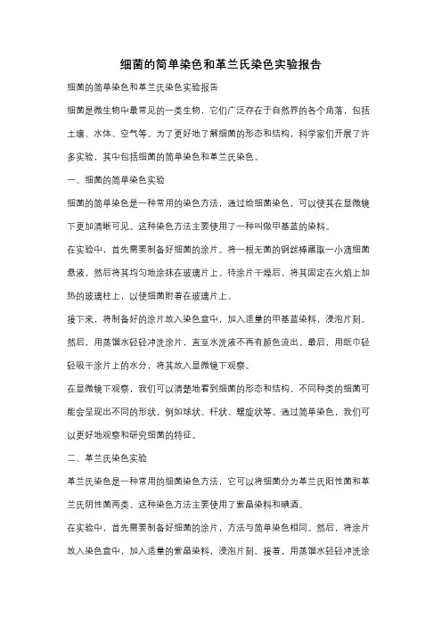 细菌的简单染色和革兰氏染色实验报告