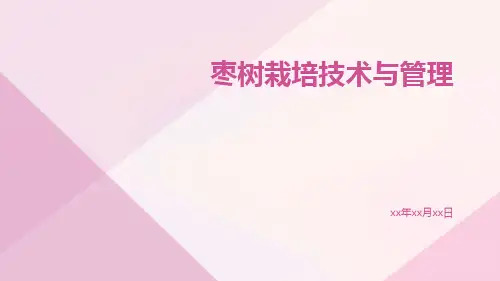 枣树栽培技术与管理