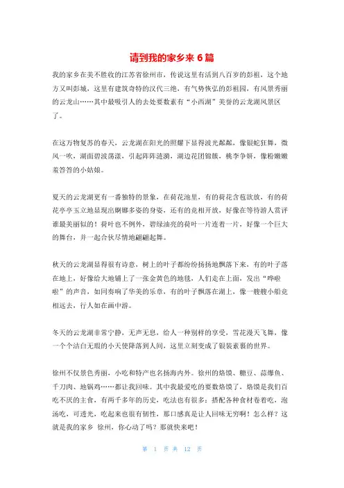 请到我的家乡来6篇