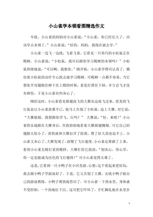 小山雀学本领看图精选作文
