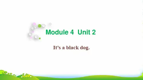 三年级英语上册 Module 4 Unit 2 It's a black dog教学 外研(三起)