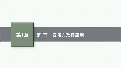 鲁科版高中物理选择性必修第二册精品课件 第1章 安培力与洛伦兹力 第1节 安培力及其应用 (3)