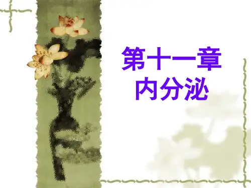 《生理学》课件——第十一章 内分泌系统