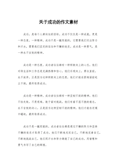 关于成功的作文素材