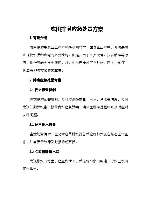 农田排涝应急处置方案