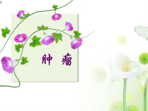 【病理学精品】肿瘤1