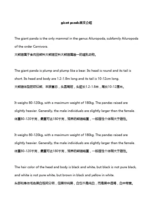 giant panda英文介绍