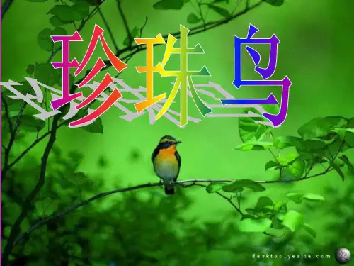 部编教材五年级上册语文《珍珠鸟》精美PPT1