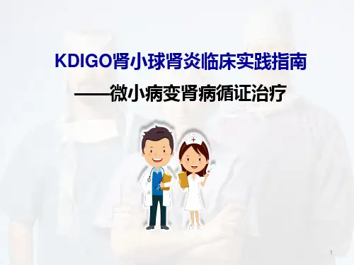 成人微小病变肾病医学PPT课件