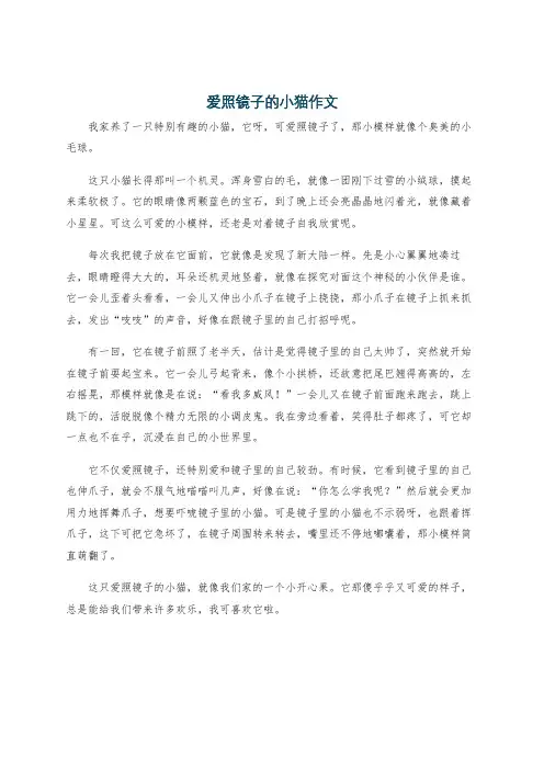 爱照镜子的小猫作文