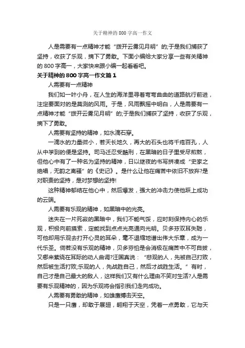 关于精神的800字高一作文_高一作文_