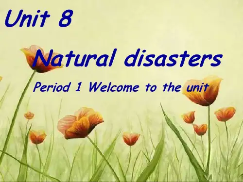 牛津译林版八年级英语上册Unit8 welcome课件