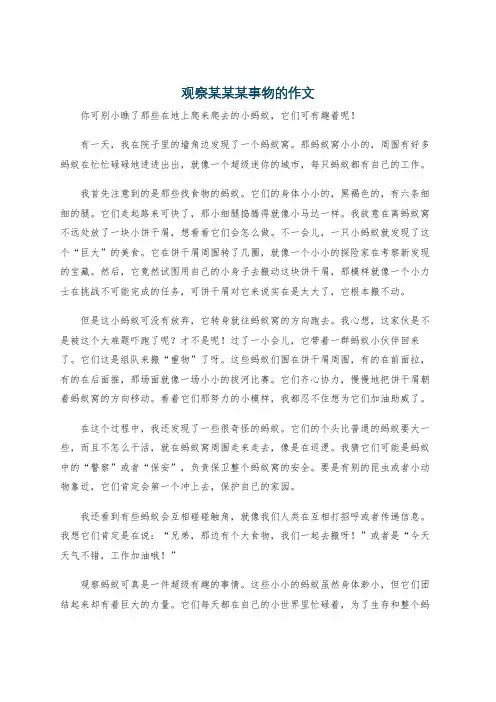山前该有一棵树语文试卷阅读