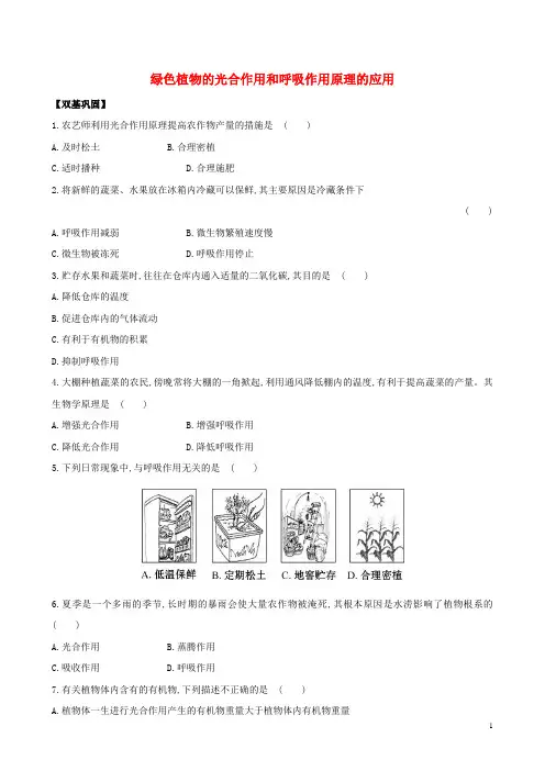 七年级生物上册3.6.5绿色植物的光合作用和呼吸作用原理的应用同步课时达标练习苏教版课件