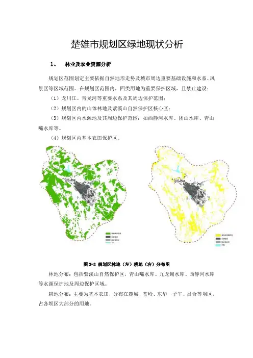 楚雄规划区绿地现状分析