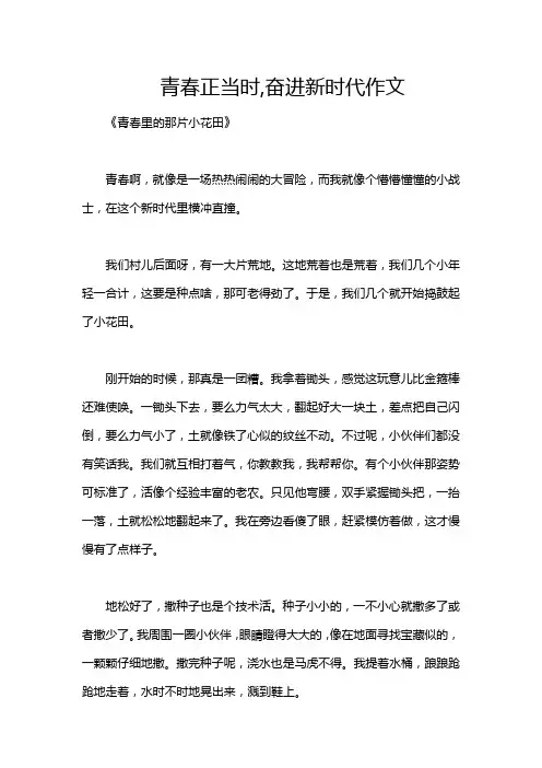 青春正当时,奋进新时代作文