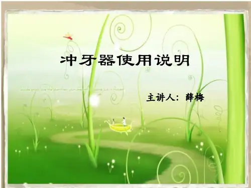 冲牙器