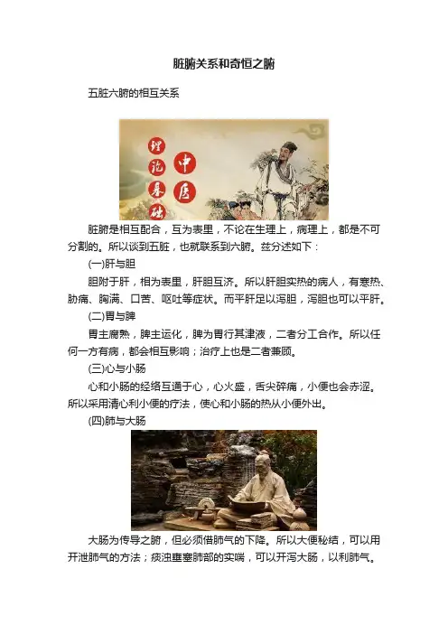 脏腑关系和奇恒之腑