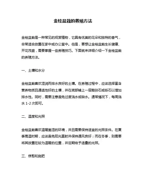 金桂盆栽的养殖方法