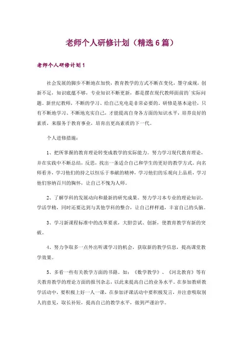 老师个人研修计划(精选6篇)