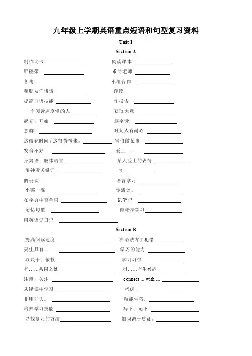 人教新目标九年级上学期英语重点短语和句型复习资料