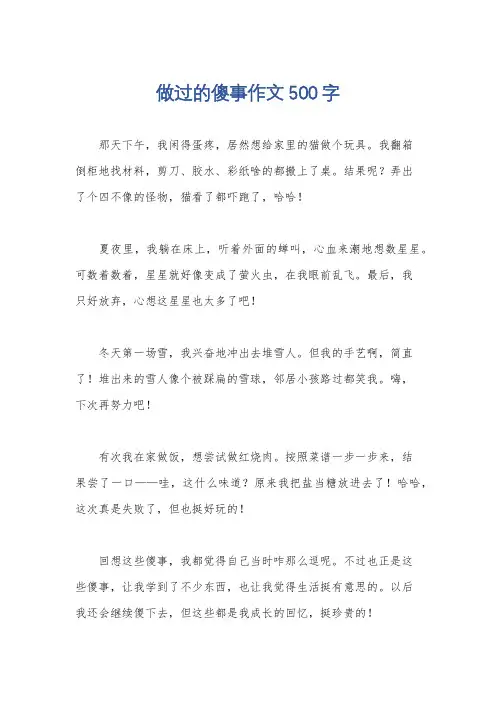 做过的傻事作文500字