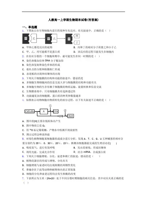 人教高一上学期生物期末试卷(有答案)