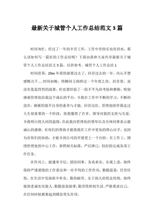 城管个人工作总结范文3篇