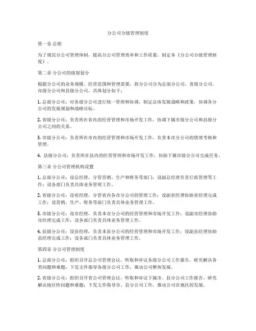 分公司分级管理制度